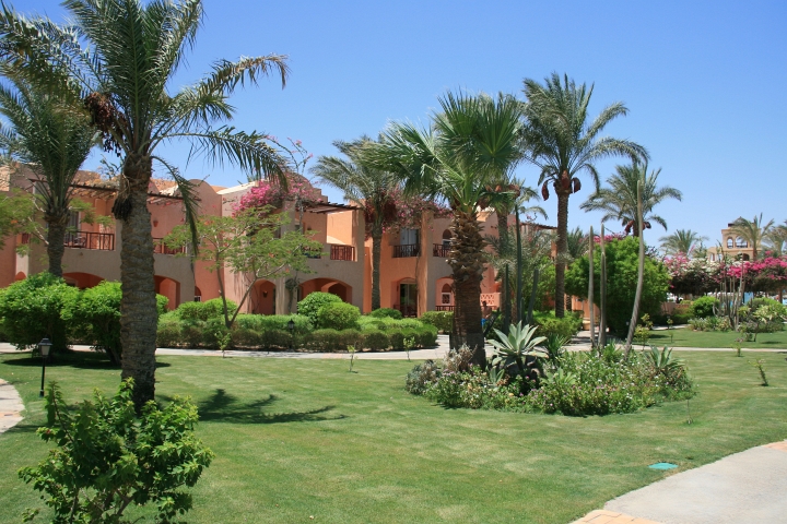 Vakantie Egypte 2010-70.jpg